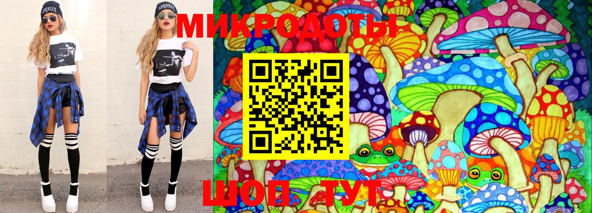 Псилоцибиновые грибы мицелий Лысьва