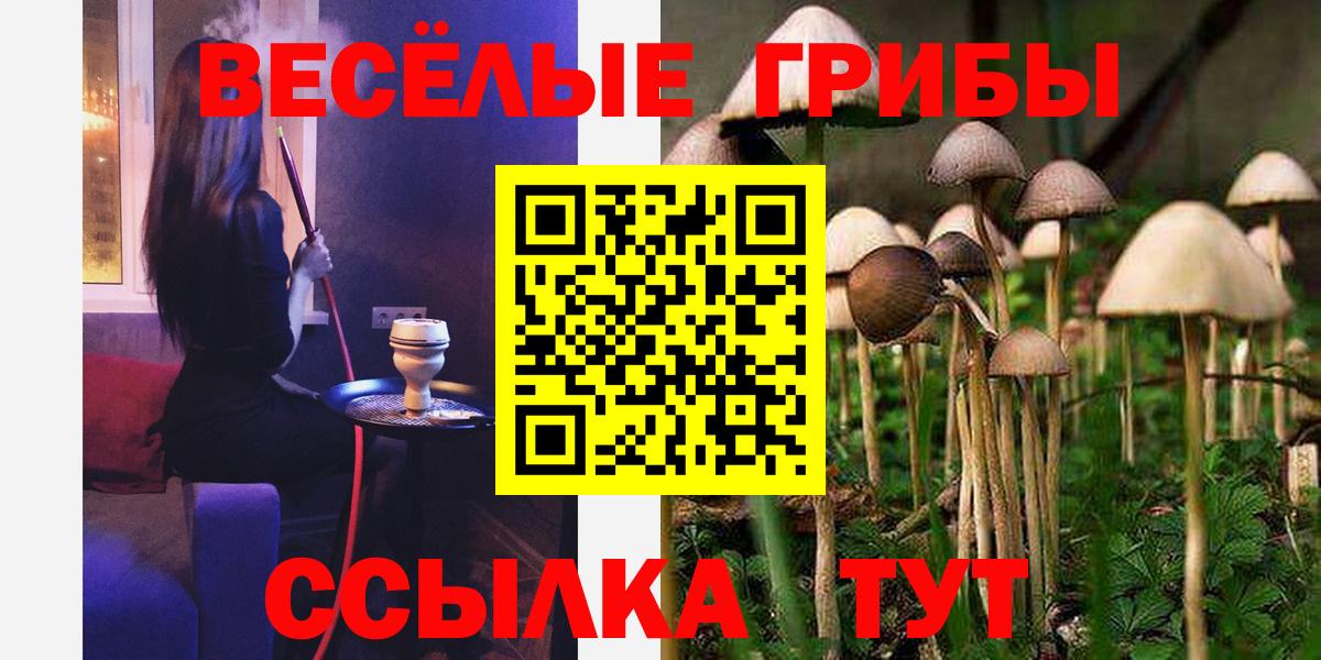 Лысьва  Псилоцибиновые грибы ЛСД  Галлюциногенные грибы Cubensis  Вход с VPN 